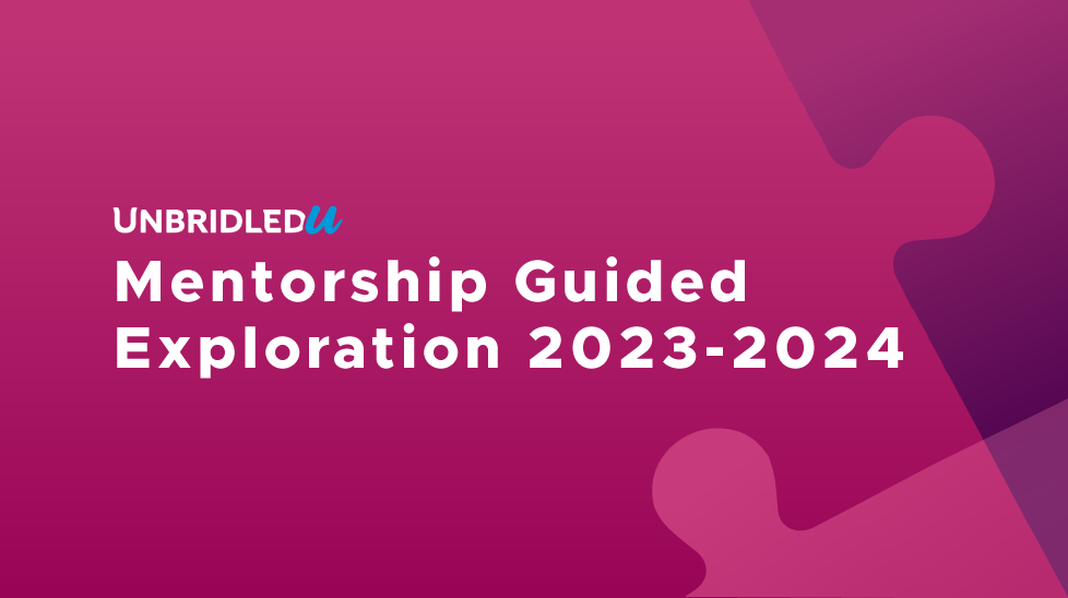 Mentorship Guided Exploration 2023-2024